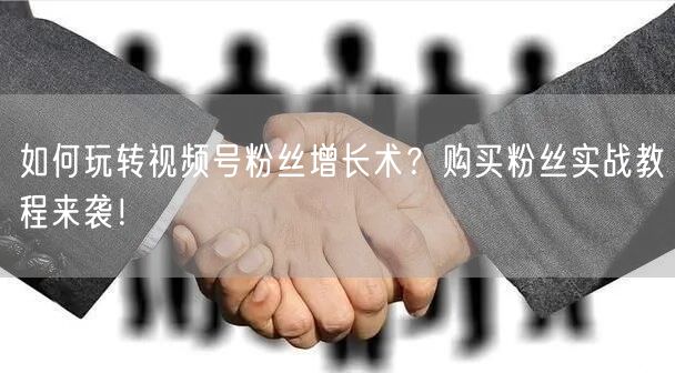 如何玩转视频号粉丝增长术？购买粉丝实战教程来袭！