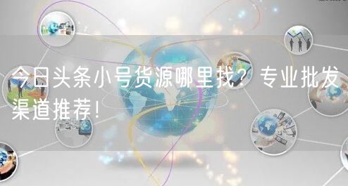 今日头条小号货源哪里找？专业批发渠道推荐！