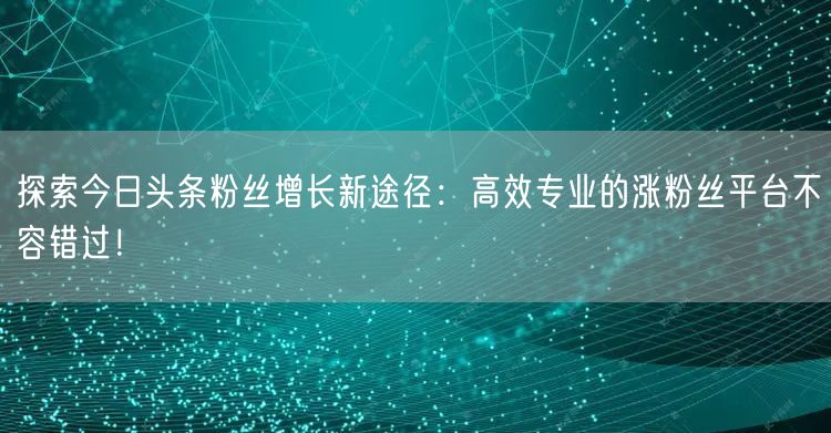 探索今日头条粉丝增长新途径：高效专业的涨粉丝平台不容错过！