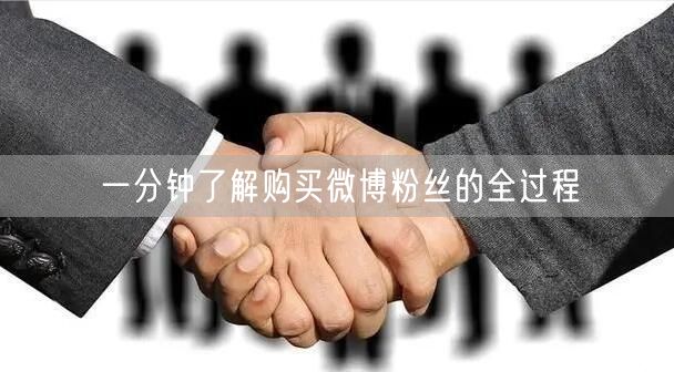 一分钟了解购买微博粉丝的全过程
