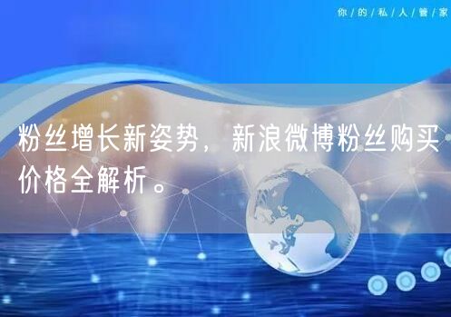 粉丝增长新姿势，新浪微博粉丝购买价格全解析。