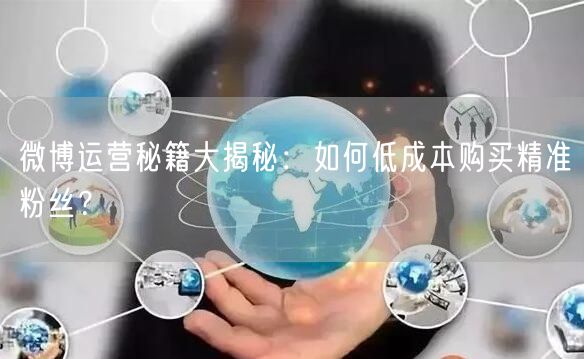 微博运营秘籍大揭秘：如何低成本购买精准粉丝？