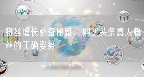 粉丝增长必备秘籍：购买头条真人粉丝的正确姿势