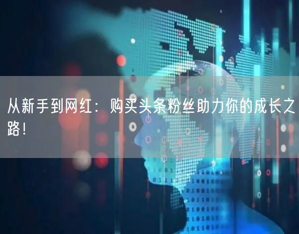 从新手到网红：购买头条粉丝助力你的成长之路！
