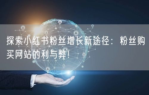 探索小红书粉丝增长新途径：粉丝购买网站的利与弊！