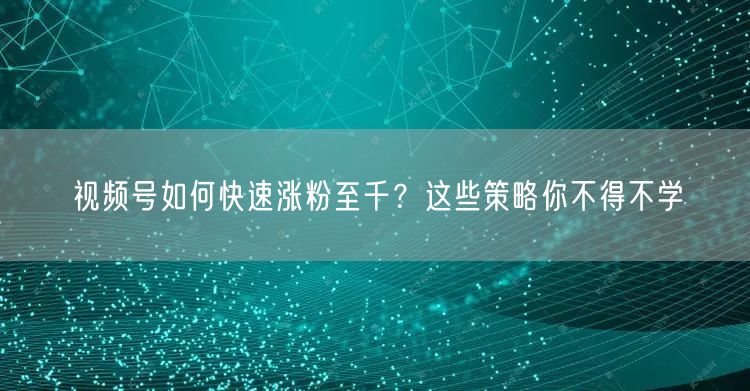视频号如何快速涨粉至千？这些策略你不得不学