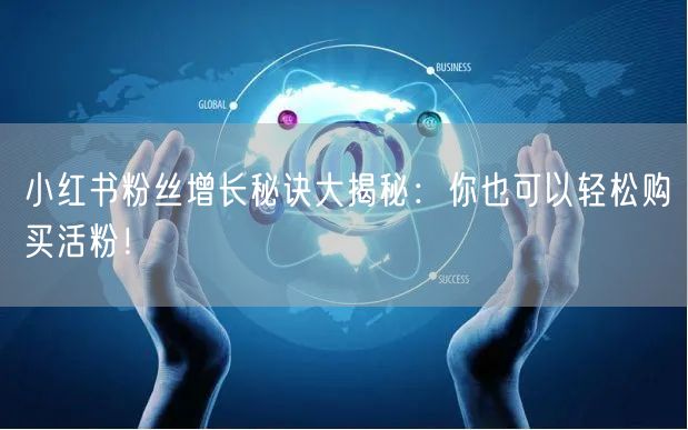 小红书粉丝增长秘诀大揭秘：你也可以轻松购买活粉！