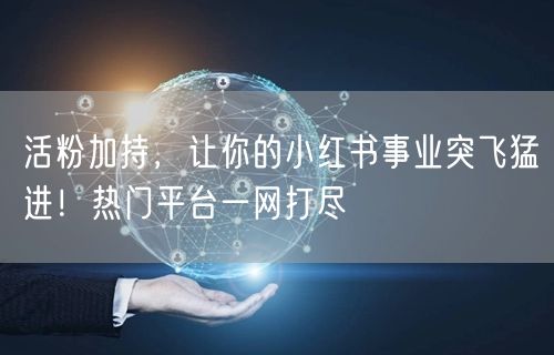 活粉加持，让你的小红书事业突飞猛进！热门平台一网打尽