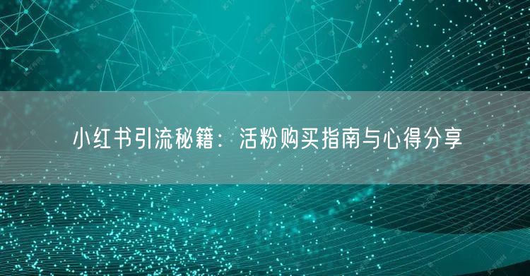 小红书引流秘籍：活粉购买指南与心得分享