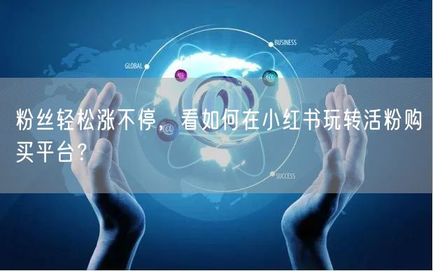粉丝轻松涨不停，看如何在小红书玩转活粉购买平台？