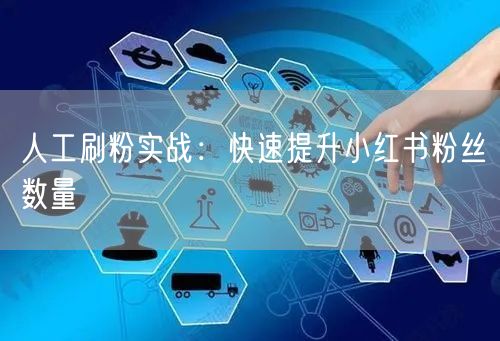 人工刷粉实战：快速提升小红书粉丝数量