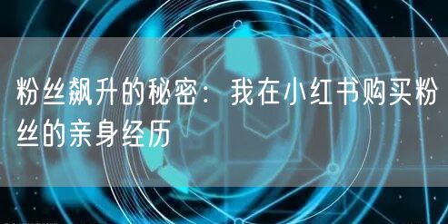 粉丝飙升的秘密：我在小红书购买粉丝的亲身经历