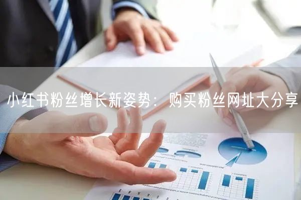 小红书粉丝增长新姿势：购买粉丝网址大分享