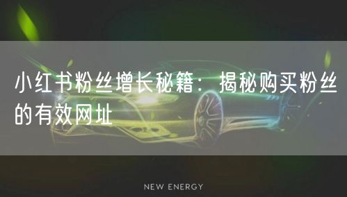 小红书粉丝增长秘籍：揭秘购买粉丝的有效网址