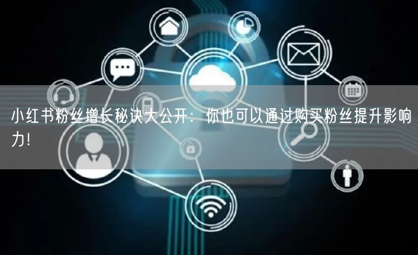 小红书粉丝增长秘诀大公开：你也可以通过购买粉丝提升影响力！