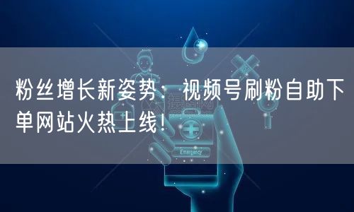 粉丝增长新姿势：视频号刷粉自助下单网站火热上线！
