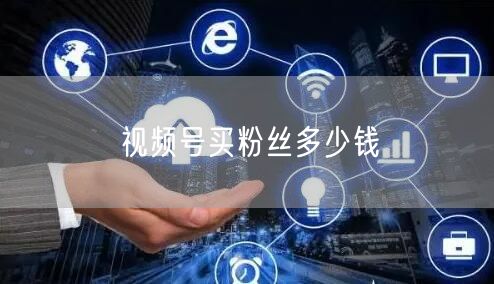 视频号买粉丝多少钱