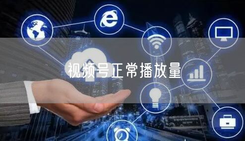 视频号正常播放量