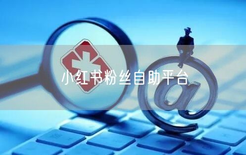 小红书粉丝自助平台