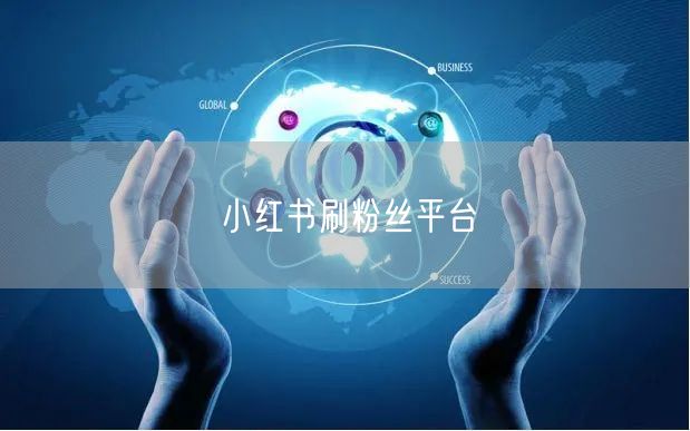 小红书刷粉丝平台