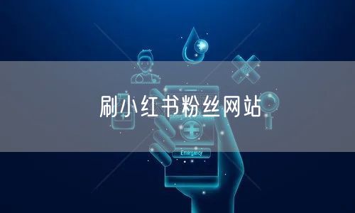 刷小红书粉丝网站