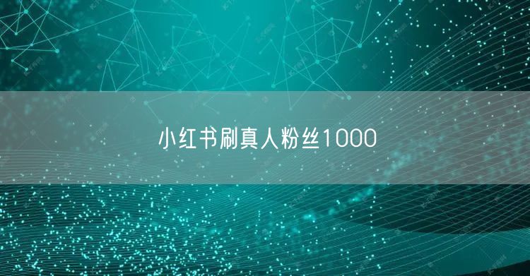 小红书刷真人粉丝1000