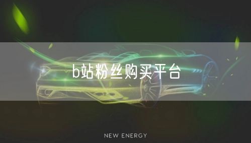 b站粉丝购买平台