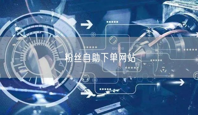 粉丝自助下单网站