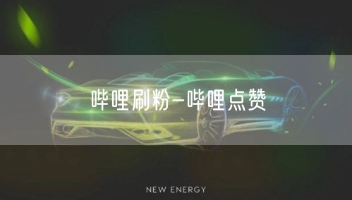 哔哩刷粉-哔哩点赞