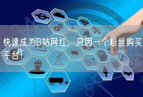 快速成为B站网红，只因一个粉丝购买平台！