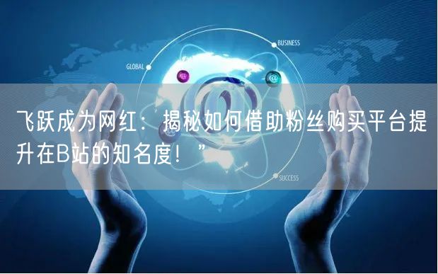 飞跃成为网红：揭秘如何借助粉丝购买平台提升在B站的知名度！”