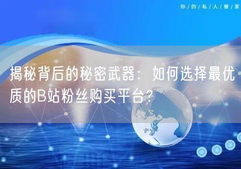 揭秘背后的秘密武器：如何选择最优质的B站粉丝购买平台？