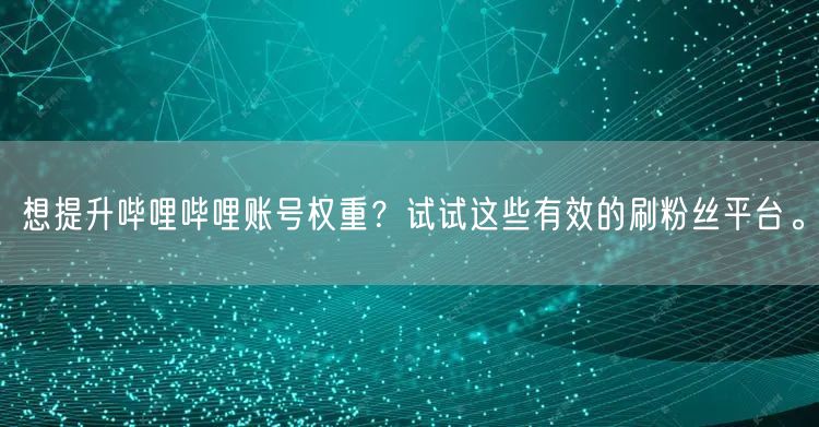 想提升哔哩哔哩账号权重？试试这些有效的刷粉丝平台。