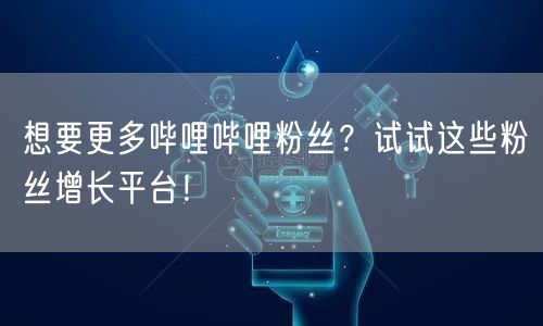 想要更多哔哩哔哩粉丝？试试这些粉丝增长平台！