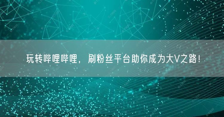 玩转哔哩哔哩，刷粉丝平台助你成为大V之路！