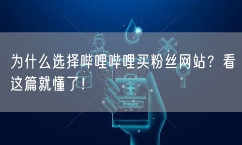 为什么选择哔哩哔哩买粉丝网站？看这篇就懂了！