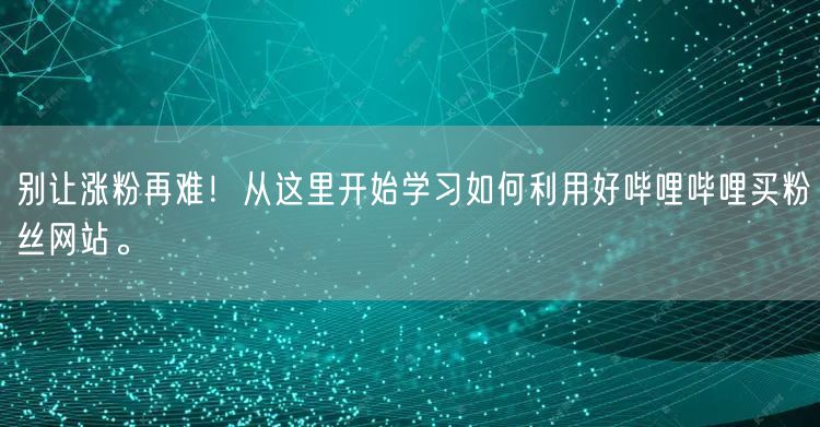 别让涨粉再难！从这里开始学习如何利用好哔哩哔哩买粉丝网站。