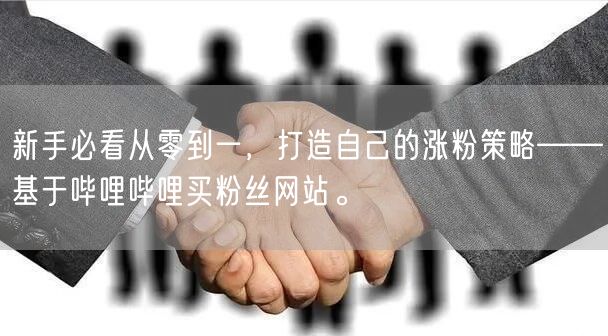 新手必看从零到一，打造自己的涨粉策略——基于哔哩哔哩买粉丝网站。