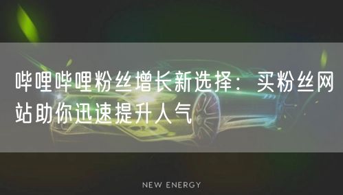 哔哩哔哩粉丝增长新选择：买粉丝网站助你迅速提升人气