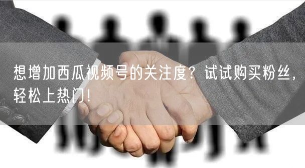 想增加西瓜视频号的关注度？试试购买粉丝，轻松上热门！