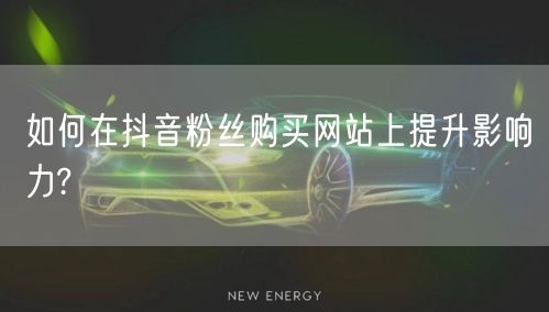 如何在抖音粉丝购买网站上提升影响力?