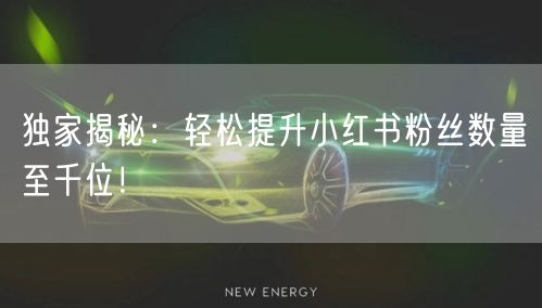 独家揭秘：轻松提升小红书粉丝数量至千位！