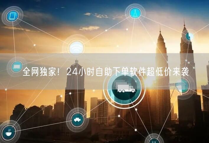 全网独家！24小时自助下单软件超低价来袭