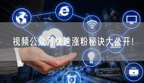 视频公众号快速涨粉秘诀大公开！