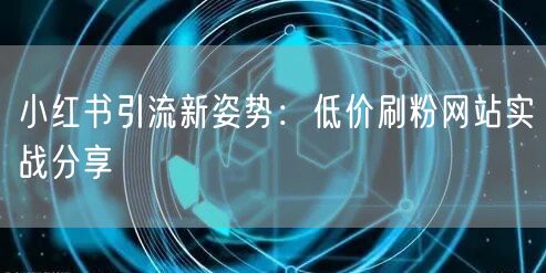 小红书引流新姿势：低价刷粉网站实战分享