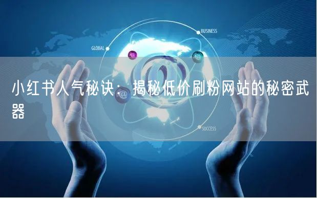 小红书人气秘诀：揭秘低价刷粉网站的秘密武器