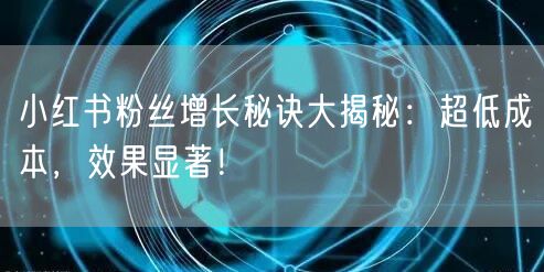 小红书粉丝增长秘诀大揭秘：超低成本，效果显著！