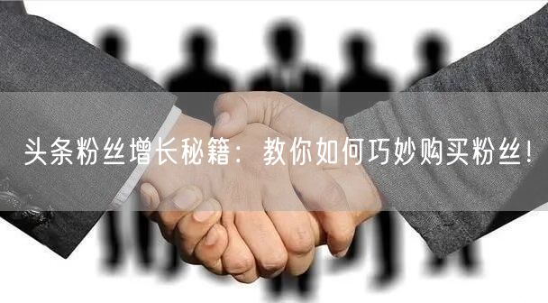 头条粉丝增长秘籍：教你如何巧妙购买粉丝！