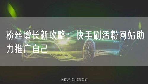 粉丝增长新攻略：快手刷活粉网站助力推广自己