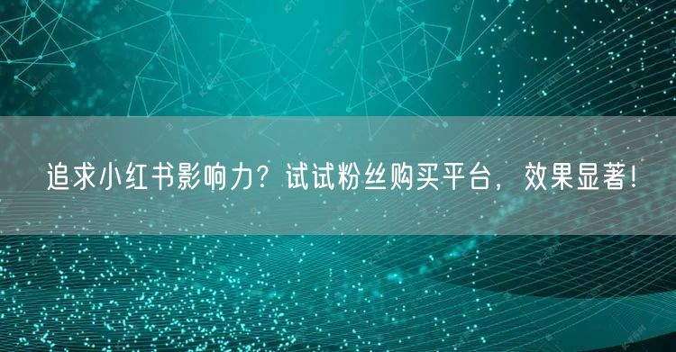 追求小红书影响力？试试粉丝购买平台，效果显著！